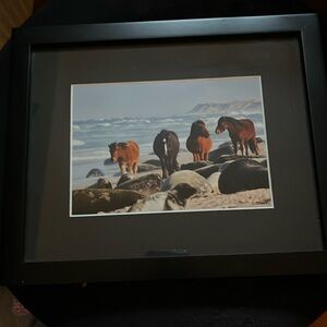 Framed photo Sable Island Wild Horses